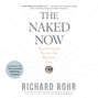 The Naked Now - Learning To See As the Mystics See (Unabridged)