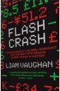 Flash Crash. A Trading Savant, a Global Manhunt and the Most Mysterious Market Crash in History