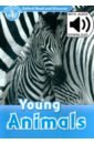 Oxford Read and Discover. Level 1. Young Animals Audio Pack