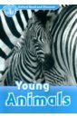 Oxford Read and Discover. Level 1. Young Animals