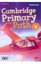 Cambridge Primary Path. Level 4. Flashcards