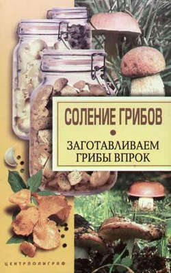 Соление грибов. Заготавливаем грибы впрок