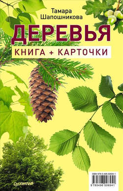 Деревья. Книга + карточки