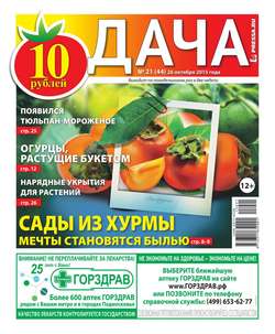 Дача Pressa.ru 21-2015
