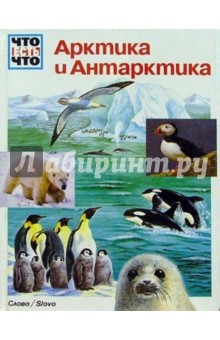 Арктика и Антарктика