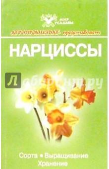 Нарциссы