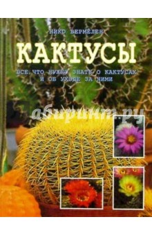 Кактусы