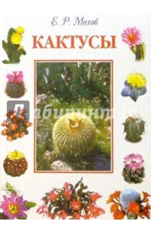 Кактусы