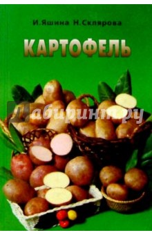 Картофель