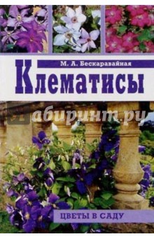 Клематисы