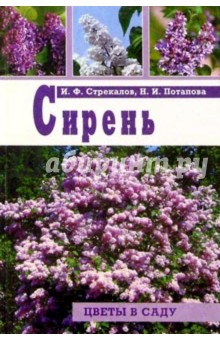 Сирень