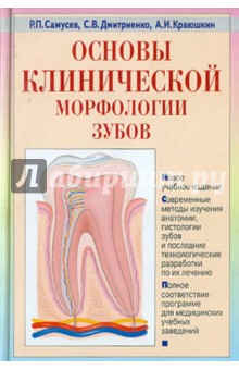 Основы клинической морфологии зубов