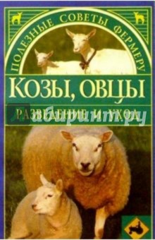 Козы, овцы