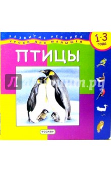 Птицы