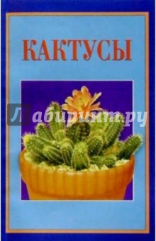 Кактусы