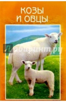Козы и овцы. Разведение. Выращивание. Использование продукции