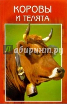 Коровы и телята. Разведение. Выращивание