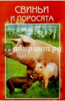 Свиньи и поросята. Разведение. Выращивание. Использование продукции