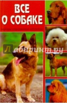 Все о собаке
