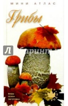 Грибы