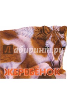 Жеребенок. Веселые зверята