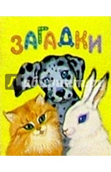 Загадки