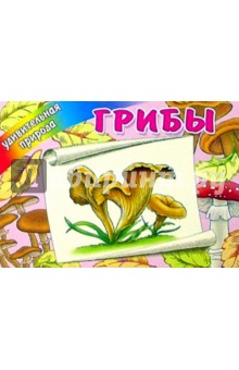 Грибы