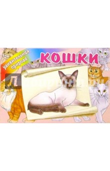 Кошки