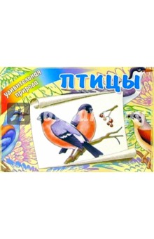 Птицы