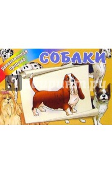 Собаки