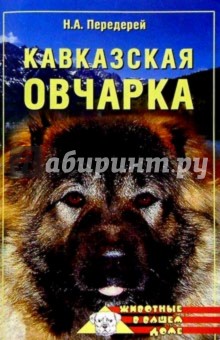 Кавказская овчарка