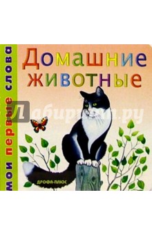 Домашние животные/картонка