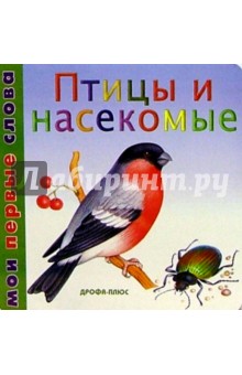 Птицы и насекомые