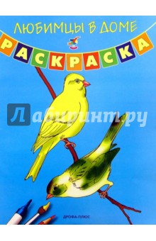 Любимцы в доме. Раскраска