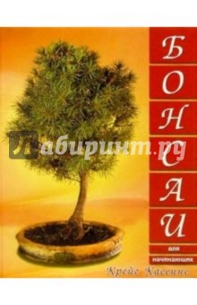 Бонсаи для начинающих
