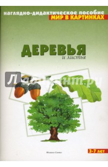 Мир в картинках: Деревья и листья 3-7 лет