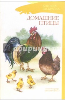 Домашние птицы. Книжка-раскраска для дошкольников