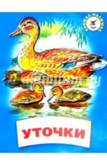 Уточки