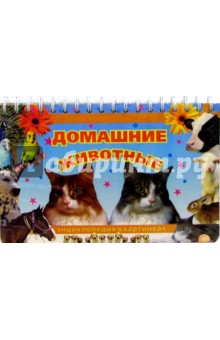 Домашние животные