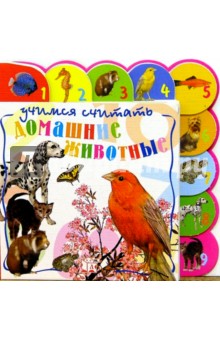 Учимся считать. Домашние животные