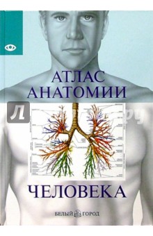 Атлас анатомии человека