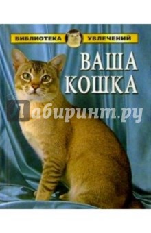 Все о кошках