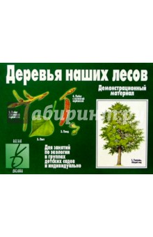 Игра: Деревья наших лесов