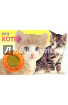 Про котят (Погладь меня)