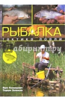 Рыбалка: тактика ловли