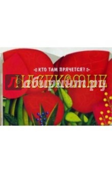 Насекомые. Кто там прячется?