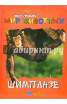 Удивительный мир животных: Шимпанзе