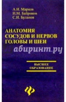 Анатомия сосудов и нервов головы и шеи