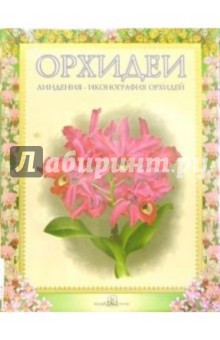 Орхидеи. Линдения - иконография орхидей