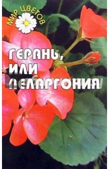 Герань, или пеларгония